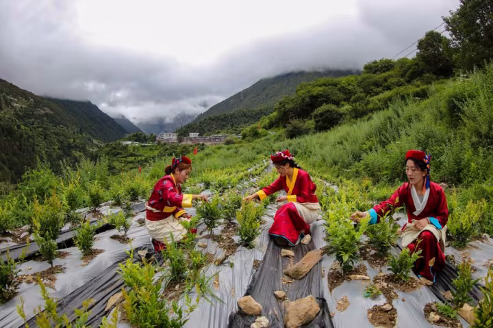 တရုတ်နိုင်ငံက နယ်ပယ်စုံတွင် လူ့အခွင့်အရေးကာကွယ်မှု ခိုင်မာအားကောင်းအောင် ဆောင်ရွက်လျက်ရှိ