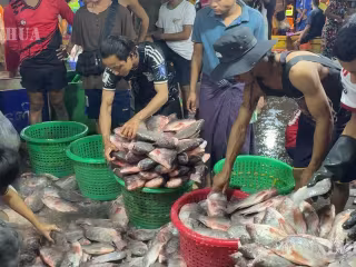 မြန်မာနိုင်ငံက ၂၀၂၆-၂၀၂၇ ဘဏ္ဍာနှစ် ပထမသုံးလအတွင်း ရေထွက်ကုန် တန်ချိန် ၆၂,၀၀၀ ကျော် တင်ပို့