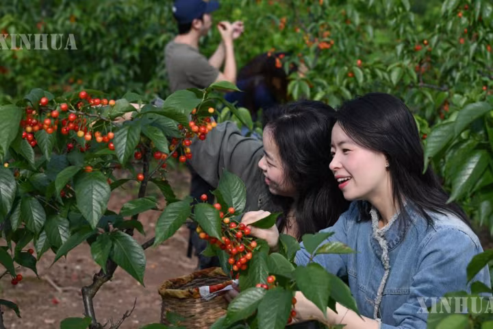 တရုတ်နိုင်ငံ၏ ဆင်းရဲနွမ်းပါးမှုလျှော့ချရေး အတွေ့အကြုံက လေ့လာအတုယူထိုက်ကြောင်း တောင်အာဖရိကမီဒီယာဖော်ပြ