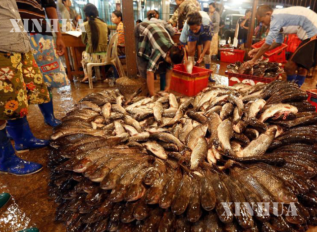 စံပြငါးဈေး၌ ငါးများရောင်းဝယ်နေသည်ကို တွေ့ရစဉ် (ဆင်ဟွာ)