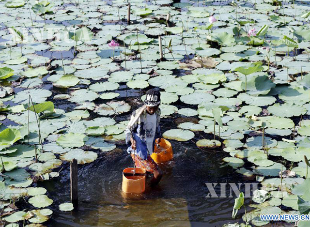 ကျေးလက်ဒေသများတွင် သောက်သုံးရေရရှိရေးအတွက် ခက်ခက်ခဲခဲရှာဖွေနေကြသည့်ကို တွေ့ရစဉ် (ဆင်ဟွာ)