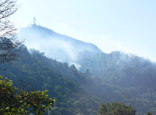 ပုပ္ပား တောင်မကြီးထိပ် တောမီး လောင်ကျွမ်းနေမှုအား တွေ့ရစဉ် (ဓာတ်ပုံ-MOI)