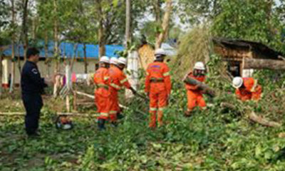 လေပြင်းတိုက်ခတ်မှုကြောင့် လဲပြိုသွားသော သစ်ပင်များအား ကယ်ဆယ်ရေး တပ်ဖွဲ့ဝင်များမှ ရှင်းလင်းစဉ် (ဓာတ်ပုံ-MOI)