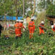 လေပြင်းတိုက်ခတ်မှုကြောင့် လဲပြိုသွားသော သစ်ပင်များအား ကယ်ဆယ်ရေး တပ်ဖွဲ့ဝင်များမှ ရှင်းလင်းစဉ် (ဓာတ်ပုံ-MOI)