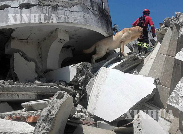 အီကွေဒေါနိုင်ငံ၌ မကြာသေးမီက လှုပ်ခတ်ခဲ့သည့် အင်အားပြင်း ငလျင်ကြောင့် အပျက်အစီးများအား တွေ့ရစဉ် (ဆင်ဟွာ)