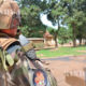 ကုလငြိမ်းချမ်းမှု ထိန်းသိမ်းရေး တပ်ဖွဲ့ဝင်တစ်ဦး အာဖရိက အလယ်ပိုင်းနိုင်ငံ Bangui မြို့တွင် ကင်းလှည့် နေသည်ကို ၂ဝ၁၅ ခုနှစ် မေလ ၂ဝ ရက်တွင် တွေ့ရစဉ် (ဆင်ဟွာ)