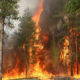 ရုရှားနိုင်ငံ အရှေ့ပိုင်း Yakutia ဒေသ၌ တောမီးလောင်ကျွမ်းနေစဉ် (ဓာတ်ပုံ-အင်တာနက်)
