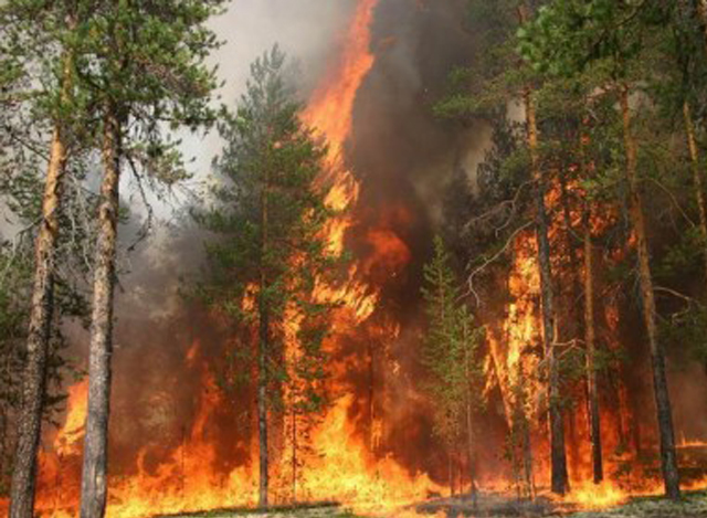 ရုရှားနိုင်ငံ အရှေ့ပိုင်း Yakutia ဒေသ၌ တောမီးလောင်ကျွမ်းနေစဉ် (ဓာတ်ပုံ-အင်တာနက်)