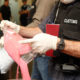 နယူးဇီလန် အကောက်ခွန် အရာရှိများက ဖမ်းဆီးရမိထားသော မူးယစ်ဆေးဝါးများအား စစ်ဆေးနေစဉ် (ဓာတ်ပုံ-အင်တာနက်)