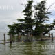 မန္တလေးတိုင်းဒေသကြီး တောင်သမန်အင်းတွင် ရေကြီးရေလျှံမှုများ ဖြစ်ပေါ်နေသည်ကို တွေ့ရစဉ် (ဆင်ဟွာ)