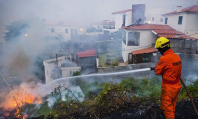 ပေါ်တူဂီတွင် မီးလောင်ကျွမ်းမှုအား မီးသတ်သမား တစ်ဦးက မီးငြှိမ်းသတ်နေစဉ် (ဓာတ်ပုံ- အင်တာနက်)