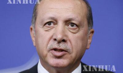 တူရကီသမၼတ Recep Tayyip Erdogan အားေတြ႕ရစဥ္ (ဆင္ဟြာ)