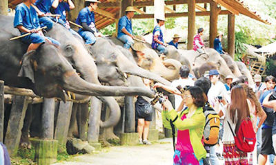 ခရီးသြားဧည္႔သည္မ်ားဆင္စခန္းတစ္ခုတြင္ၾကည္႔ရႈေနၾကစဥ္ (ဓာတ္ပံု--ျမဝတီ)