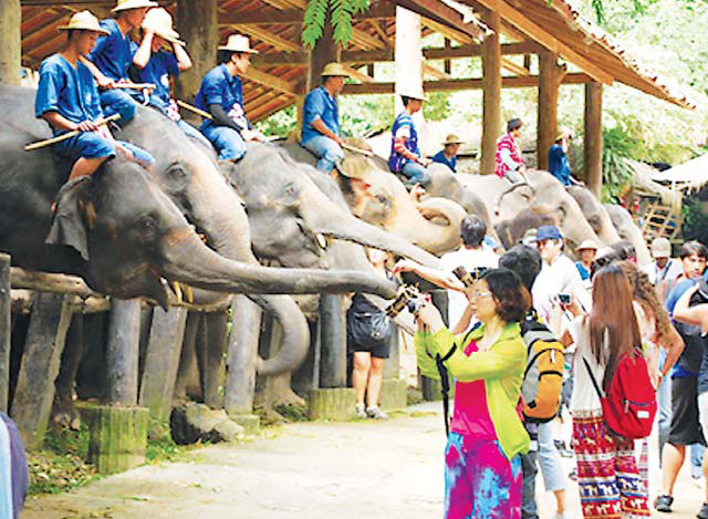 ခရီးသြားဧည္႔သည္မ်ားဆင္စခန္းတစ္ခုတြင္ၾကည္႔ရႈေနၾကစဥ္ (ဓာတ္ပံု--ျမဝတီ)