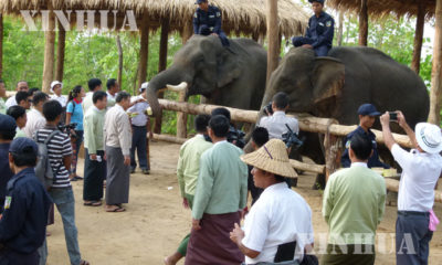 ဆင္ထိန္းသိမ္းေရးႏွင့္ အပန္းေျဖ စခန္း တစ္ခုအား ေတြ ့ရစဥ္(ဆင္ဟြာ)