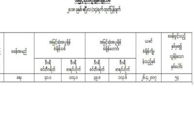 ေရးၿမိဳ ႔၏ အပူခ်ိန္စံခ်ိန္သစ္ဇယားအားေတြ႔ရစဥ္ (ဓာတ္ပံု--မိုးဇလ)