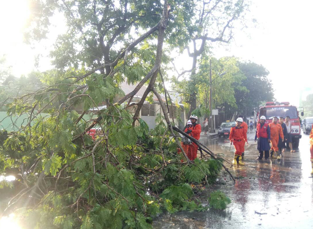 ရန္ကုန္တိုင္းေဒသႀကီးအတြင္း မိုးျပင္းထန္စြာရြာသြန္းမႈေၾကာင့္ အပ်က္အစီးမ်ား ျဖစ္ေပၚမႈအား ေတြ႔ရစဥ္(ဓာတ္ပံု-ျမန္မာႏိုင္ငံမီးသတ္တပ္ဖြဲ႔)