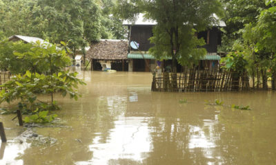 စစ္ေတာင္းျမစ္ေရ ျမင့္တက္မႈေၾကာင့္ ေတာင္ငူခရိုင္တြင္း ေရႀကီးေနစဥ္(MOI)