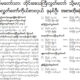 တပ္မေတာ္သားကိုယ္စားလွယ္ အစားထိုး ခန္႔အပ္ေသာ ေၾကညာခ်က္အား ေတြ႔ရစဥ္(MOI)