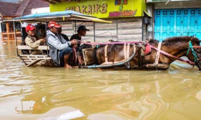 အင္ဒုိနီးရွားႏုိင္ငံအေရွ ့ဖ်ား ပါပူဝါျပည္နယ္၌ ေရႀကီးေရလွ်ံမႈျဖစ္ပြားေနသည္ကုိ ေတြ ့ရစဥ္(ဓာတ္ပံု-အင္တာနက္)