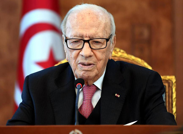 တူနီးရွားႏုိင္ငံ သမၼတ Beji Caid Essebsi အားေတြ႕ရစဥ္ (ဓါတ္ပံု-အင္တာနက္)