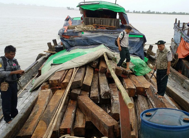 သံလြင္ျမစ္ အတြင္း ဖမ္းဆီး ရမိခဲ့ေသာ တရားမ၀င္သစ္မ်ားအား ေတြ ့ရစဥ္(ဓာတ္ပုံ - Forest Department)