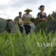 တရုတ်နိုင်ငံ၌ လယ်ယာလုပ်ငန်းခွင် ဝင်နေကြသော တောင်သူလယ်သမားများအားတွေ ့ရစဉ်(ဆင်ဟွာ)