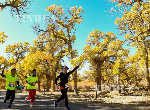 ၂၀၁၉ ခုနှစ် Ejina Populus သစ်တောဥယျာဉ်ဖြတ်ကျော် နိုင်ငံတကာ မာရသွန်အပြေးပြို်ငပွဲ ကျင်းပနေသည့် မြင်ကွင်းများ (ဆင်ဟွာ)