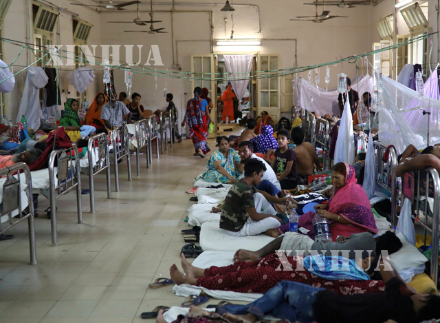 ဘင်္ဂလားဒေ့ရှ်နိုင်ငံ ဒါကာမြို့ရှိဆေးရုံတစ်ခုတွင် သွေးလွန်တုပ်ကွေးဖြစ်ပွားသူများ ဆေးကုသမှု ခံယူနေသည်ကို တွေ့ရစဉ်(ဆင်ဟွာ)