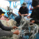 တူနီးရှား ငါးဖမ်းသင်္ဘောတစ်စင်းတွင် အလုပ်လုပ်နေသူများအား တွေ့ရစဉ် (ဆင်ဟွာ)
