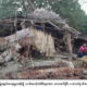 ဂွမြို့နယ် ယခင် တောဆင်ရိုင်းဝင်ရောက်ဖျက်ဆီးမှုကြောင့် ပျက်ဆီးသွားသော နေအိမ်အား တွေ့ရစဉ်(ဓာတ်ပုံ-ပြည်ထဲရေး)