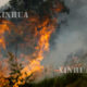 ဩစတြေးလျနိုင်ငံ၌ တောမီးများအကြီးအကျယ်လောင်ကျွမ်းနေသည်ကိုတွေ့ရစဉ်(ဆင်ဟွာ)