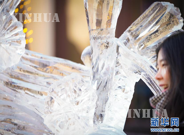 တရုတ်နိုင်ငံ ဟေးလုံကျန်းပြည်နယ် ဟာအယ်ပင်းမြို့ မြို့လယ်လမ်းမကြီးတွင် ရေခဲပန်းပု အနုပညာများ ဖန်တီးနေသည်ကိုတွေ့မြင်ရစဉ်(ဆင်ဟွာ)