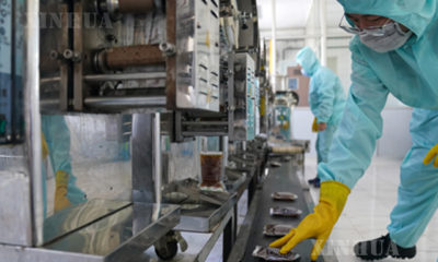 တရုတ်နိုင်ငံ ဟာပင်းပြည်နယ်ရှိ ဆေးကုမ္ပဏီတစ်ခု၏ တိုင်းရင်းဆေးထုတ်လုပ်မှု လုပ်ငန်းခွင်အား တွေ့ရစဉ် (ဆင်ဟွာ)