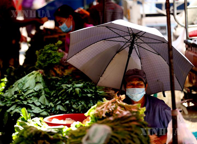 ရန်ကုန်မြို့၌ နှာခေါင်းစည်း တပ်ဆင်၍ ဈေးရောင်းချနေသူ တစ်ဦးအား တွေ့ရစဉ်(ဆင်ဟွာ)