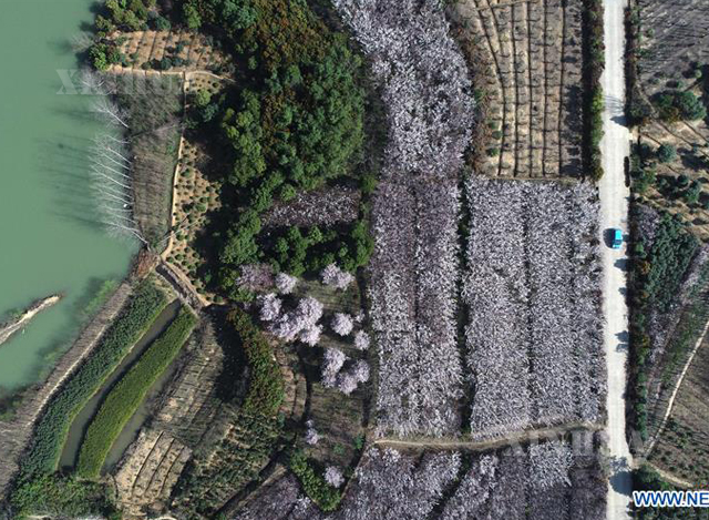 တရုတ်နိုင်ငံ အရှေ့ပိုင်း အန်းဟွေးပြည်နယ်ရှိ လယ်ယာစိုက်ခင်းများအား တွေ့ရစဉ် (ဆင်ဟွာ)