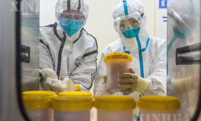 တရုတ်နိုင်ငံ Zhejiang ပြည်နယ် မှ ပေးပို့လာသော ကိုရိုနာဗိုင်းရပ်စ်ဆိုင်ရာ ဇီဝနမူနာများကို ပေကျင်းမြို့ရှိ ကူးစက်ရောဂါ ကာကွယ်ရေး နှင့် ထိန်းချုပ်ရေးဌာနတွင် ၂၀၂၀ ပြည့်နှစ် ဖေဖော်ဝါရီ ၂၅ ရက်က စမ်းသပ်စစ်ဆေးမှုပြုလုပ်နေစဉ်(ဆင်ဟွာ)