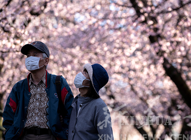 ဂျပန် နိုင်ငံ ရှိ ပြည်သူများ နှာခေါင်းစည်း တပ်၍ သွားလာ လှုပ်ရှားနေသည် ကို တွေ့ရစဉ်(ဆင်ဟွာ)