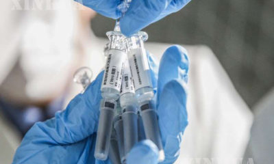 တရုတ်နိုင်ငံ ပေကျင်းမြို့တော်ရှိ Sinovac Biotech လီမိတက်တွင် COVID-19 ကာကွယ်ဆေး (inactivated COVID-19 vaccine) နမူနာများကို ဝန်ထမ်းတစ်ဦးက ပြသနေစဉ် (ဆင်ဟွာ)