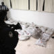 မက္ကဆီကိုနိုင်ငံ မက္ကဆီကိုစီးတီးမြို့၌ ၂၀၁၅ ခုနှစ် စက်တင်ဘာ ၃ ရက်က သိမ်းဆည်းရမိသော မူးယစ်ဆေးဝါးများကို လုံခြုံရေးတပ်ဖွဲ့ဝင်များက စစ်ဆေးနေစဉ်(ဆင်ဟွာ)