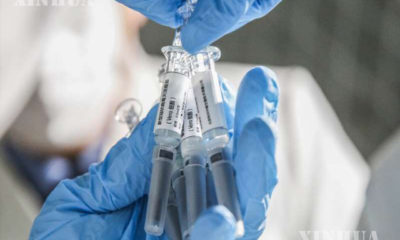 တရုတ်နိုင်ငံ မြို့တော် ပေကျင်းရှိ Sinovac Biotech လီမိတက်တွင် ဝန်ထမ်းတစ်ဦးက COVID-19 ကာကွယ်ဆေး (COVID-19 inactivated vaccine) နမူနာများ ပြသနေစဉ် (ဆင်ဟွာ)