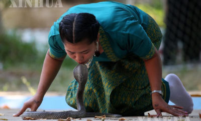 ရန်ကုန်တိရစ္ဆာန်ဥယာဉ်တွင် မြွေအလိမ္မာယ်ပြသနေမှုအားတွေ့ရစဉ် (ဆင်ဟွာ)