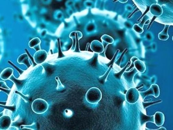 နိုဗယ်ကိုရိုနာဗိုင်းရပ်စ် ပုံရိပ်အား တွေ့ရစဉ်(ဓါတ်ပုံ - ကမ္ဘာ့ကျန်းမာရေးအဖွဲ့ ဝဘ်ဆိုက်)