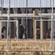 ဘရာဇီးနိုင်ငံ ဆော်ပေါ်လိုပြည်နယ်ရှိ Jardinopolis အကျဉ်းထောင်တွင် အကျဉ်းသားများ တန်းစီလမ်းလျှောက်နေသည်ကို တွေ့ရစဉ် (ဆင်ဟွာ)