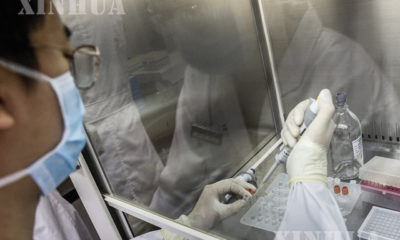 တရုတ်နိုင်ငံ ပေကျင်းမြို့ရှိ Sinovac Biotech Ltd. ဓာတ်ခွဲခန်း၌ COVID-19 inactivated ကာကွယ်ဆေး နမူနာများကို စမ်းသပ်နေစဉ် (ဆင်ဟွာ)