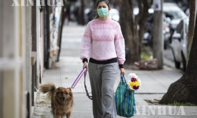 အာဂျင်တီးနားနိုင်ငံ ဗျူနိုအေးရိစ်တွင် ခွေးနှင့်အတူ လမ်းလျှောက်နေသော နှာခေါင်းစည်းတပ်ဆင်ထားသော အမျိုးသမီးတစ်ဦးအား တွေ့ရစဉ် (ဆင်ဟွာ)