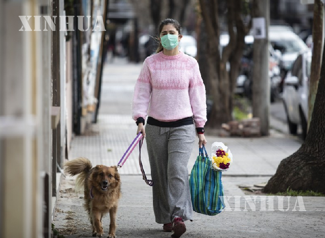 အာဂျင်တီးနားနိုင်ငံ ဗျူနိုအေးရိစ်တွင် ခွေးနှင့်အတူ လမ်းလျှောက်နေသော နှာခေါင်းစည်းတပ်ဆင်ထားသော အမျိုးသမီးတစ်ဦးအား တွေ့ရစဉ် (ဆင်ဟွာ)