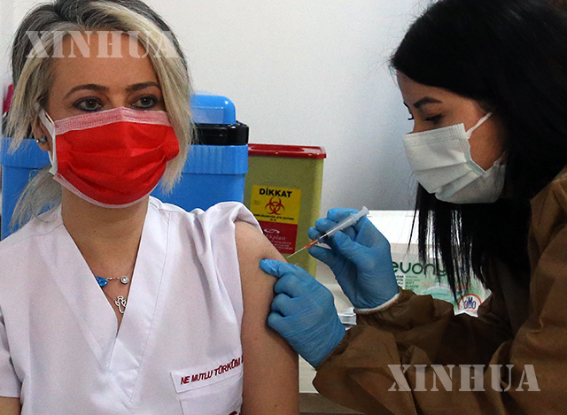 တူရကီနိုင်ငံ အန်ကာရာမြို့တွင် ကျန်းမာရေးဝန်ထမ်းများအား တရုတ်နိုင်ငံထုတ် Sinovac COVID-19ကာကွယ်ဆေးထိုးနှံမှုများ ဆောင်ရွက်နေသည်ကို ဇန်နဝါရီ ၁၅ ရက်က တွေ့ရစဉ် (ဆင်ဟွာ)