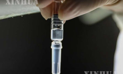 တရုတ်နိုင်ငံ ပေကျင်းမြို့ရှိ ပေကျင်း ဇီဝထုတ်ကုန်များအင်စတီကျူ့ ကုမ္ပဏီလီမိတက်ရှိ ထုပ်ပိုးရေးစက်ရုံတွင် COVID-19 ကာကွယ်ဆေး (COVID-19 inactivated vaccine) ကို ဝန်ထမ်းတစ်ဦးက စစ်ဆေးနေစဉ် (ဆင်ဟွာ)