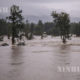 ဩစတြေးလျနိုင်ငံ နယူးဆောက်သ်ဝေးလ်ပြည်နယ် သစ်တောတစ်ခု ရေနစ်မြုပ်နေသည်ကို မတ် ၂၂ ရက်က တွေ့ရစဉ်(ဆင်ဟွာ)